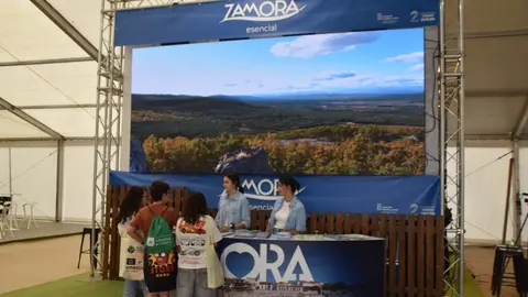 Feria Internacional del Ecoturismo Naturcyl Segovia _40