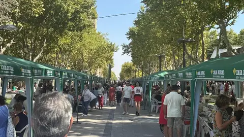encajeras Zamora_25