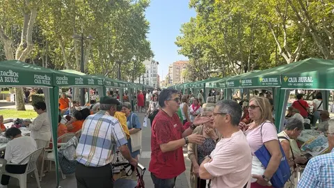 encajeras Zamora_32