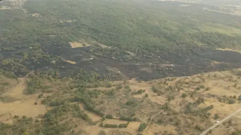 incendio Lanseros