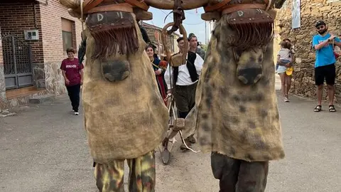Mascaradas en Pobladura de Aliste (9)