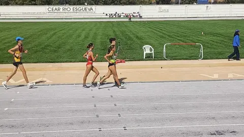 vino toro caja rural