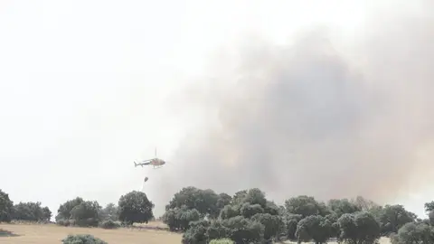 encinas fuego