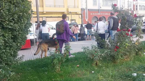 atropello en Avenida Portugal en Zamora
