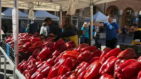Feria del Pimiento Benavente _15