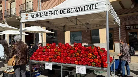 Feria del Pimiento Benavente _17