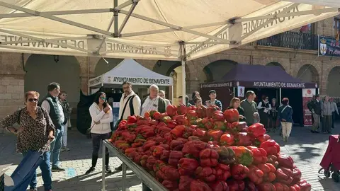 Feria del Pimiento Benavente _18