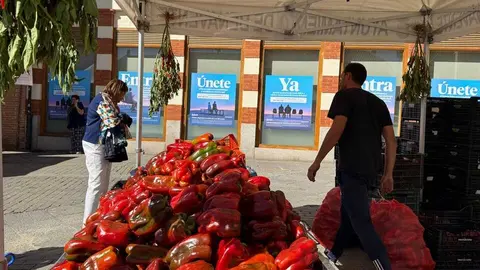 Feria del Pimiento Benavente _20