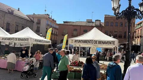 Feria del Pimiento Benavente _21