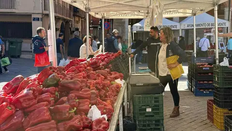 Feria del Pimiento Benavente _22