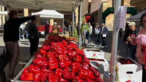 Feria del Pimiento Benavente _25