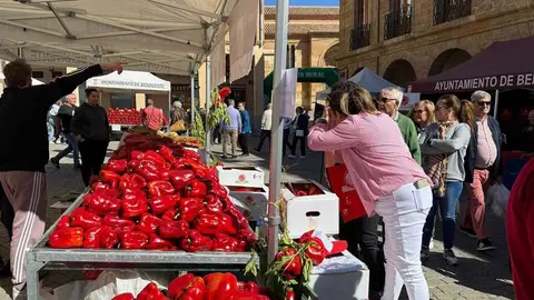 Feria del Pimiento Benavente _26