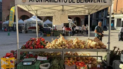 Feria del Pimiento Benavente _31