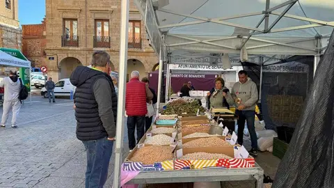 Feria del Pimiento Benavente _32