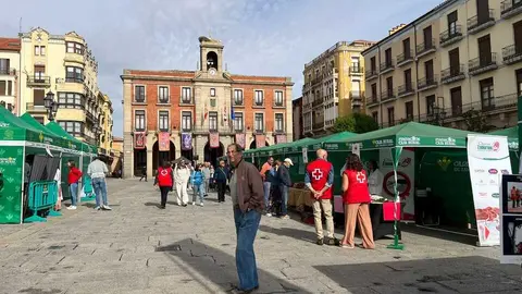 I Feria del Chorizo Zamorano _6