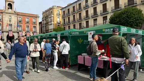 I Feria del Chorizo Zamorano _28