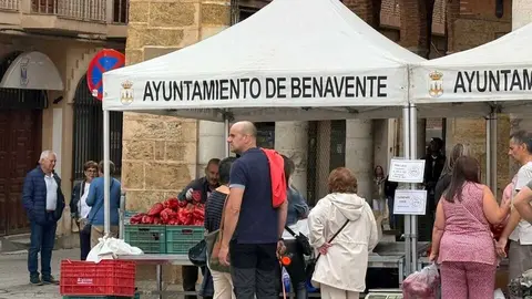 Feria del Pimiento en Benavente _3