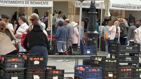 Feria del Pimiento en Benavente _4