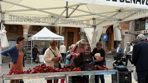 Feria del Pimiento en Benavente _5