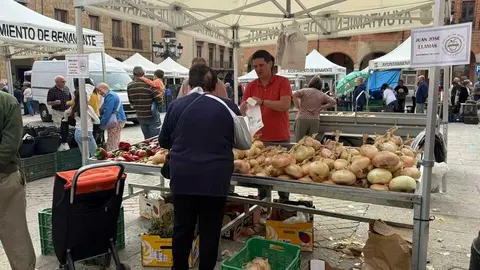 Feria del Pimiento en Benavente _6
