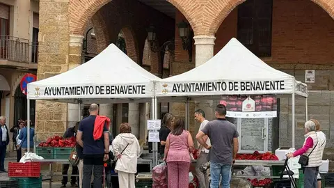 Feria del Pimiento en Benavente _7