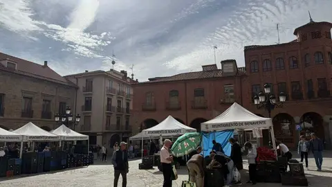 Feria del Pimiento en Benavente _10