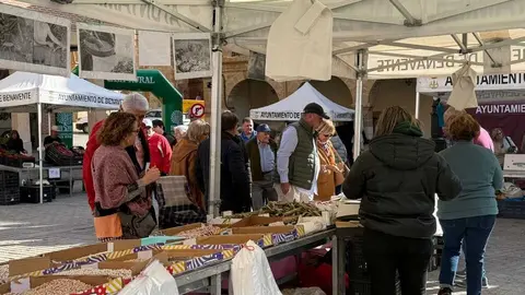 Feria del Pimiento en Benavente _15