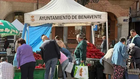 Feria del Pimiento en Benavente _17