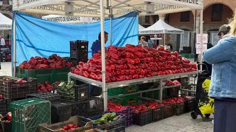 Feria del Pimiento en Benavente _18