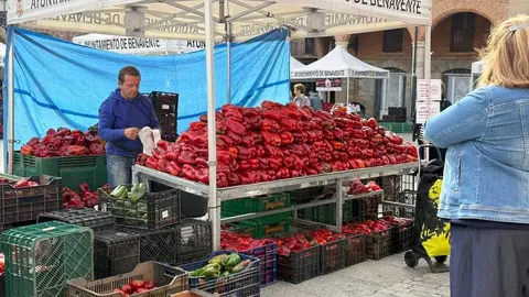 Feria del Pimiento en Benavente _19