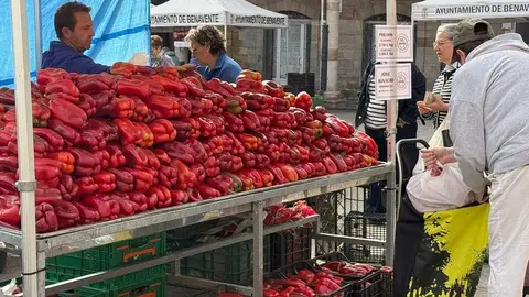 Feria del Pimiento en Benavente _20