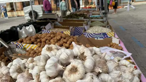 Feria del Pimiento en Benavente _25