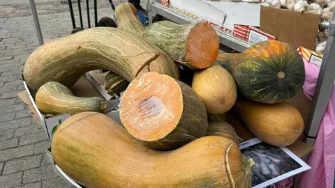 Feria del Pimiento en Benavente _30