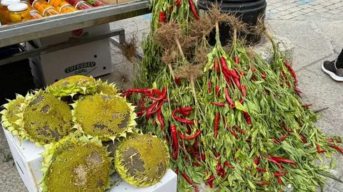 Feria del Pimiento en Benavente _31