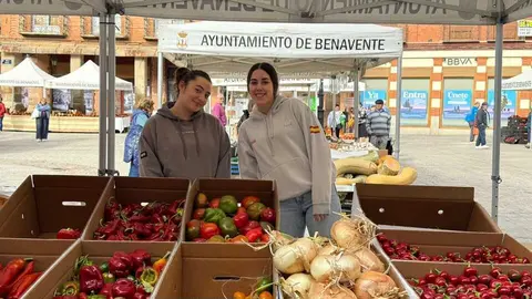 Feria del Pimiento en Benavente _32
