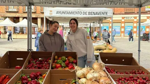 Feria del Pimiento en Benavente _36