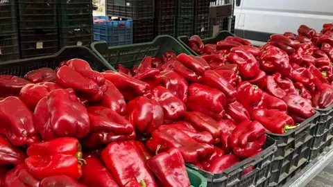 Feria del Pimiento en Benavente _37