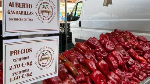 Feria del Pimiento en Benavente _39