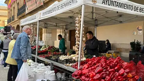Feria del Pimiento en Benavente _41