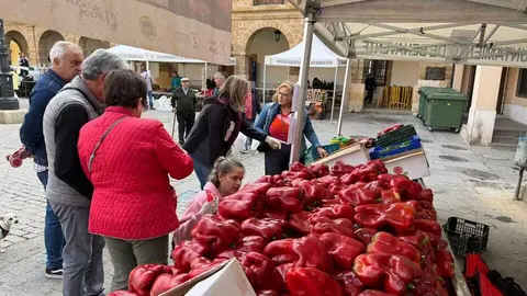 Feria del Pimiento en Benavente _48