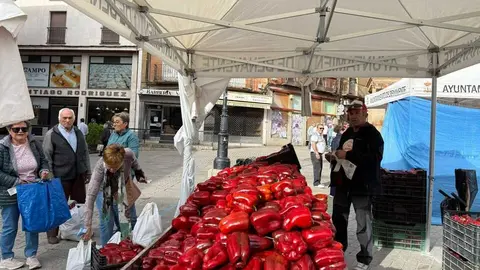 Feria del Pimiento en Benavente _50