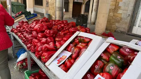 Feria del Pimiento en Benavente _51