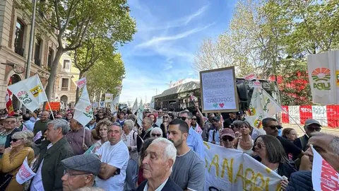 manifestación zamora frente a renfe _3