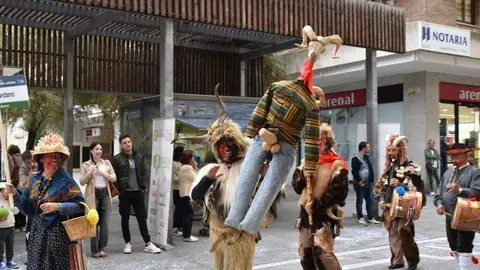 Mascarada Zamora Desfile _76