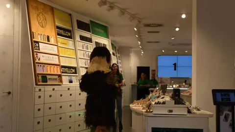 Mascarada Zamora Desfile _91