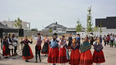 lucha y don sancho_83