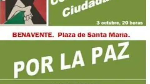 concentración palestina benavente