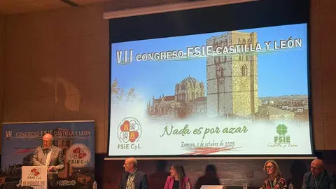 Federación de Sindicatos Independientes de Enseñanza (FSIE) de Castilla y León