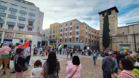 Protesta pro palestina Zamora _2