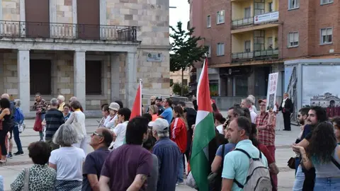 Protesta pro palestina Zamora _8